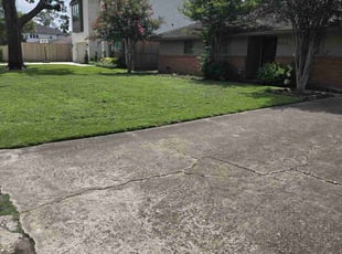 Denise J.'s grass maintenance service result