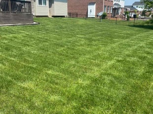 Lindsay R.'s turf care service result