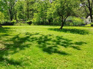 James R.'s lawn care services service result