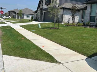 Nancy M.'s residential landscaping service result