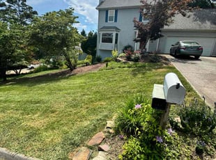 Sheri P.'s grass maintenance service result