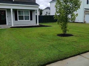 Charles Y.'s grass cutting service result