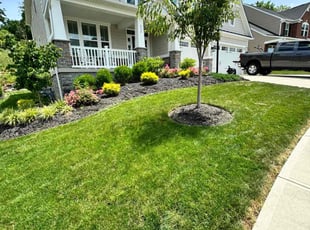 Micah M.'s grass cutting service result