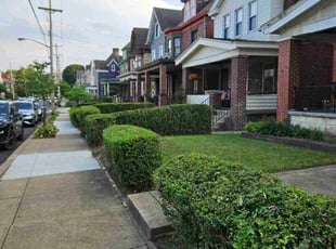 Barbara C.'s Bush Trimming service result