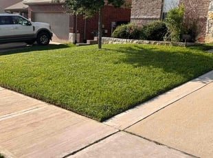 Michael D.'s lawn care service result