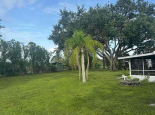 Jason S.'s grass cutting service result