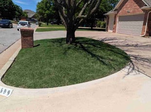 Kaile S.'s turf maintenance service result