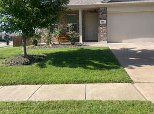 Sharon A.'s grass maintenance service result