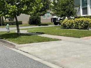 Tammy M.'s lawn care service result