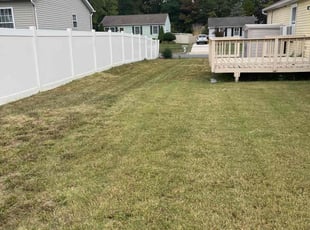 Judy E.'s grass maintenance service result