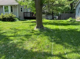 Jeff N.'s lawn care service result