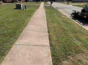 Brian O.'s lawn care services service result