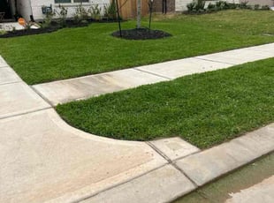 Shyiara S.'s lawn care service result