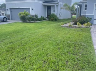 Deana D.'s lawn care service result
