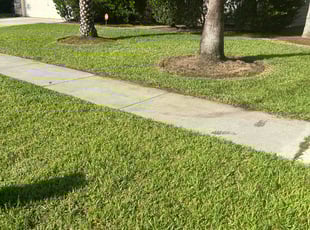 Sonja L.'s lawn service service result