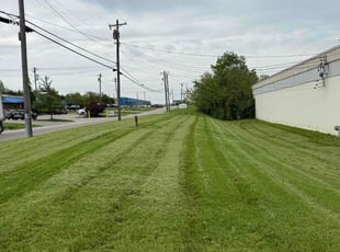 Ronni D.'s lawn maintenance service result