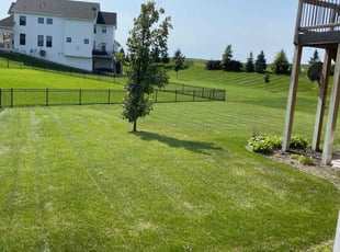 Monique M.'s lawn service service result
