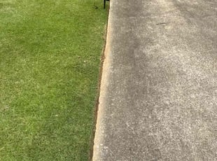 Jess A.'s turf care service result