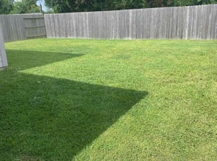 India G.'s grass cutting service result