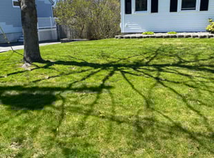 Tracy L.'s lawn care services service result