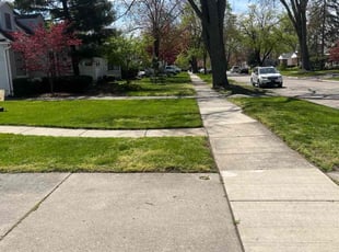Joanne Z.'s turf care service result