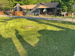 Takya B.'s turf maintenance service result