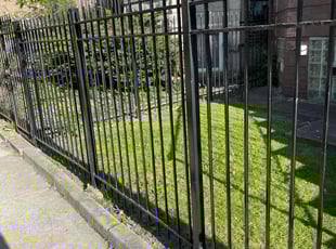 Titus R.'s turf maintenance service result