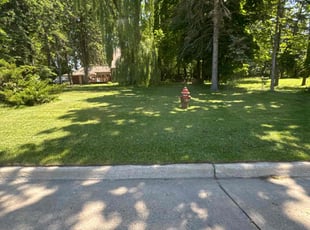 Cindy J.'s lawn care service result