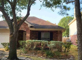 Katherine U.'s Bush Trimming service result