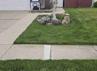 Yama G.'s lawn maintenance service result