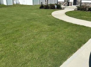 Linda E.'s turf maintenance service result