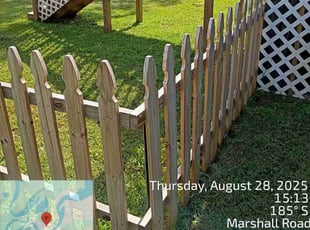 Ursula C.'s lawn care service result