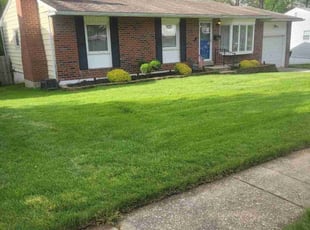 Kaye W.'s lawn service service result