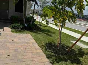 Jerrie-Lynn H.'s turf care service result