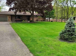 Raquel S.'s turf care service result