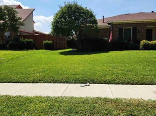 Risa B.'s grass maintenance service result