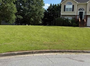 Edward O.'s grass maintenance service result