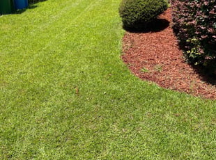 Michael M.'s lawn care services service result