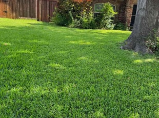 Wade A.'s grass maintenance service result