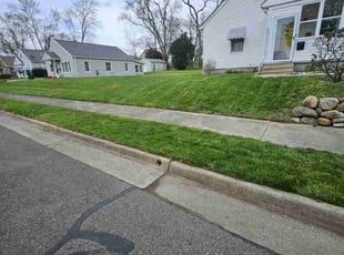Susan K.'s turf maintenance service result