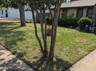 Victoria R.'s lawn service service result