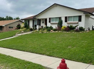 Letty C.'s turf maintenance service result