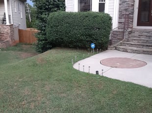 Staci F.'s Bush Trimming service result