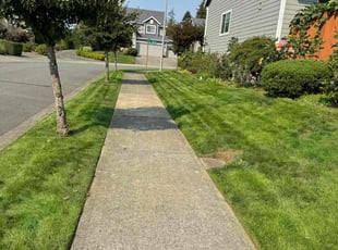 Chris B.'s lawn service service result