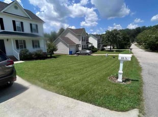 Mariana S.'s turf maintenance service result