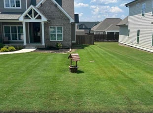 Elizabeth P.'s lawn care services service result