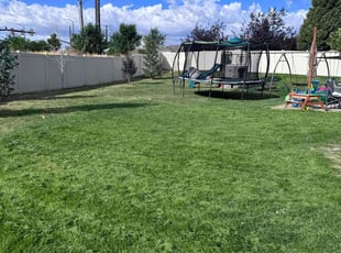 Keanna W.'s lawn care service result