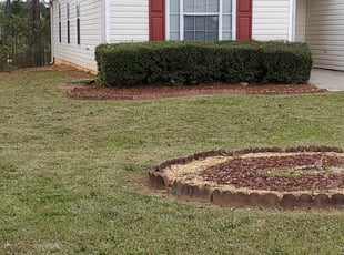 Tiffany M.'s Bush Trimming service result