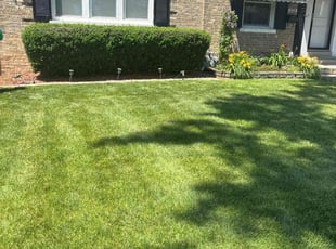 Joey T.'s grass maintenance service result