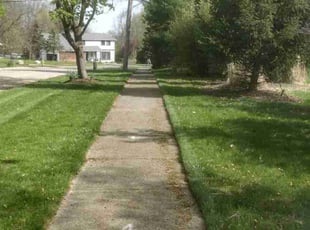 Luis G.'s turf care service result